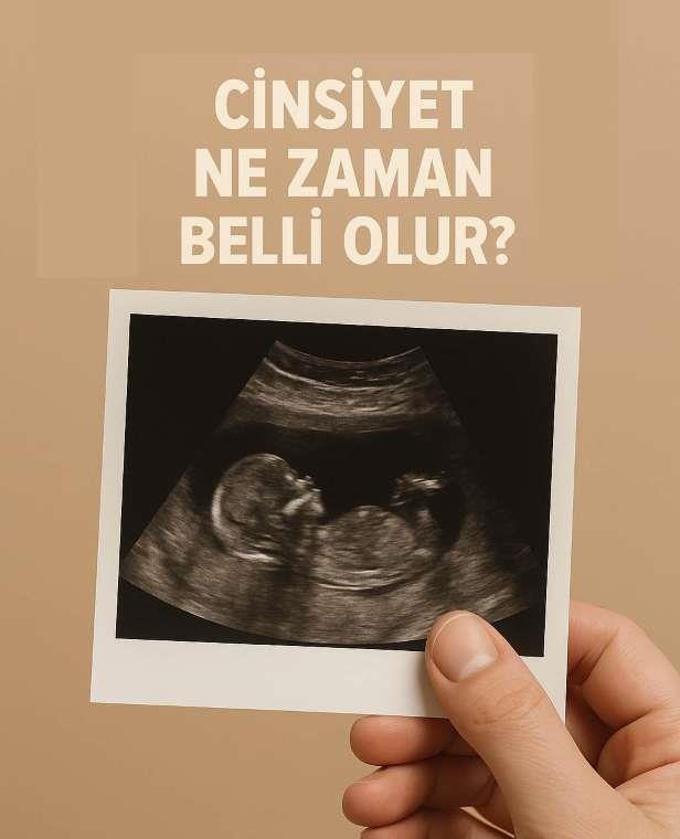 Cinsiyet Ne Zaman Belli Olur?