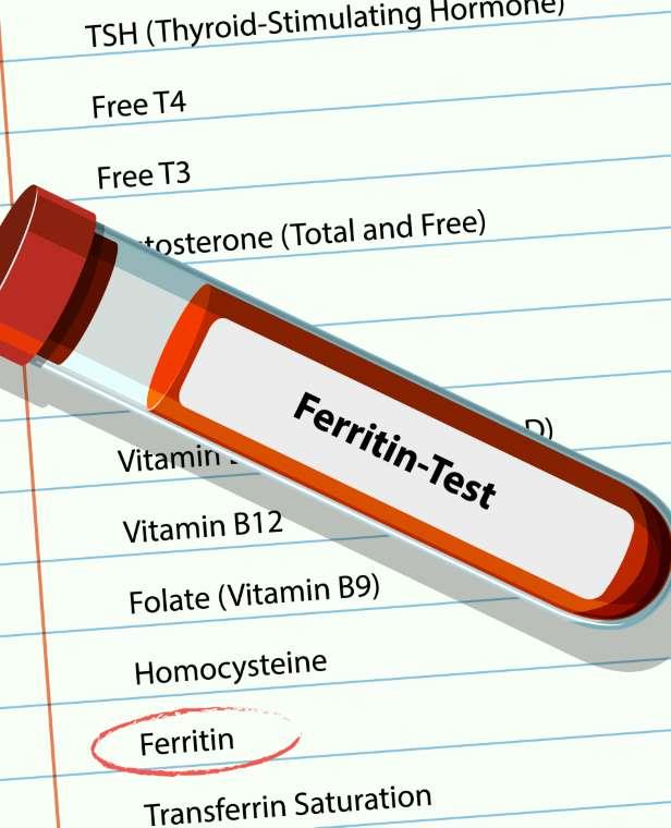 Ferritin Nedir?
