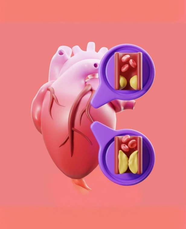 HDL Kolesterol Nedir?