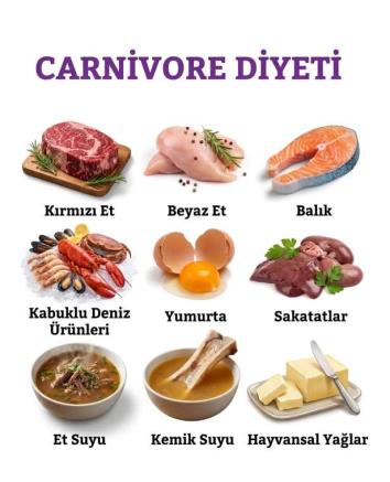Carnivore Diyeti
