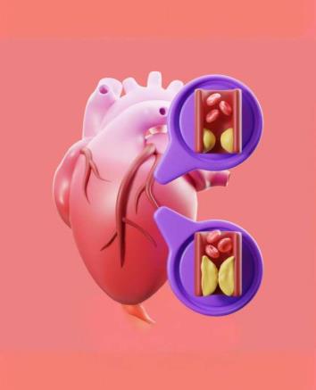 HDL Kolesterol Nedir?
